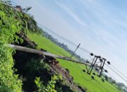 Tiang Listrik Tumbang di Lombok Barat, 1 Hari Lagi Diperbaiki