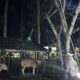 Polsek Sekotong Gelar Patroli Malam di Dusun Karang Kerem