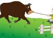 Personel Polsek Selong Bersama Warga Temukan Sapi Yang Sempat Hilang