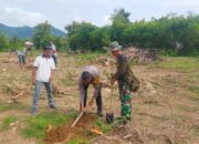 Dukung Penghijauan, Babinsa Dan Bhabinkamtibmas Semamung Kompak Lakukan Penanaman Pohon