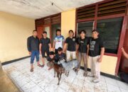 Curi Kambing untuk Foya-Foya, Dua Pelaku Disergap Tim Opsnal Polsek Sape