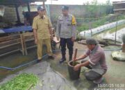 Petani Lombok Barat Buat Pestisida Nabati, Lebih Ramah Lingkungan!