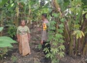 Bhabinkamtibmas Dukung Ketahanan Pangan, Warga Makin Semangat Bertani!