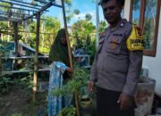 Bhabinkamtibmas Senggigi Dukung Ketahanan Pangan, Warga Antusias!