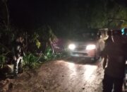 Pohon Tumbang di Teluk Nara, Polsek Pemenang Tangani Insiden Dengan Cepat.