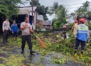 Sebuah Dahan Pohon Tumbang Timpa Bangunan dan Warga