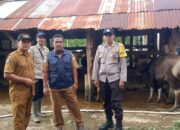 Bhabinkamtibmas Kelurahan Penaraga Monitoring Vaksinasi PMK oleh Dinas Pertanian dan Perternakan Kota Bima