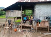 Dorong Ketahanan Pangan Nasional dan Swasembada, Bhabinkamtibmas Polsek Langgudu Cek Progres Tanaman Padi di Desa Binaan