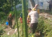 Polsek Tanjung Siap Sambut Lounching Program Ketahanan Pangan Lestari