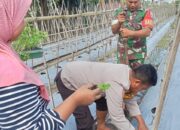 Bhabinkamtibmas Kelurahan Rite Dampingi Pengelolaan Pekarangan Pangan Bergizi