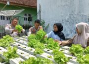 Dukung Ketahanan Pangan, Kasat Binmas Polres Bima Kota Pantau Lahan Pangan Bergizi Warga