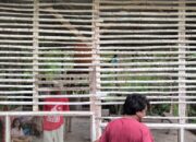 Polsek Asakota Bubarkan Kegiatan Sabung Ayam di Lingkungan Tolotongga