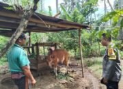 Bhabinkamtibmas Sosialisasi P2B: Manfaatkan Pekarangan untuk Ketahanan Pangan