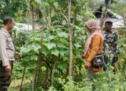 Bhabinkamtibmas Cek Pekarangan Pangan Bergizi, Dukung Ketahanan Pangan Program Asta Cita Presiden RI