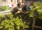 Bhabinkamtibmas Laksanakan Pengecekan Lahan Pekarangan Ketahanan Pangan Nasional