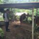 Ketahanan Pangan dari Rumah: Polri Ajak Warga Tanam Sayur di Pekarangan