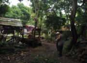 Dukung Ketahanan Pangan, Polsek Batulayar Ajak Warga Manfaatkan Pekarangan