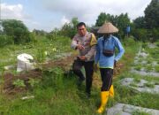 Bhabinkamtibmas Dorong Ketahanan Pangan Desa di Lombok Barat