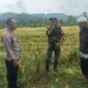 Kedekatan Polisi dan Petani, Panen Jadi Nyaman