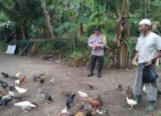 Dekat dengan Warga, Polisi Dorong Pemanfaatan Lahan Pekarangan di Batulayar