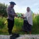 Ketahanan Pangan Desa: Polsek Labuapi Turun Tangan Salurkan Bibit Jagung Unggul