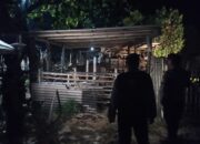 Polsek Sekotong Tingkatkan Patroli Cegah Pencurian Ternak di Lombok Barat