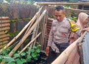 Bhabinkamtibmas Lombok Barat Dorong Ketahanan Pangan Lewat Lahan Kosong