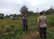 Polsek Kuripan Dorong Partisipasi Masyarakat dalam Program Ketahanan Pangan Nasional