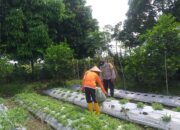 Polri Dorong Ketahanan Pangan Lewat Pemanfaatan Lahan Produktif di Desa Jagaraga