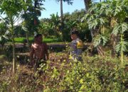Polisi Ketuk Pintu Petani, Lombok Barat Heboh!