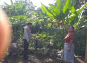 Polsek Kuripan Dorong Ketahanan Pangan Lewat Peran Aktif Bhabinkamtibmas