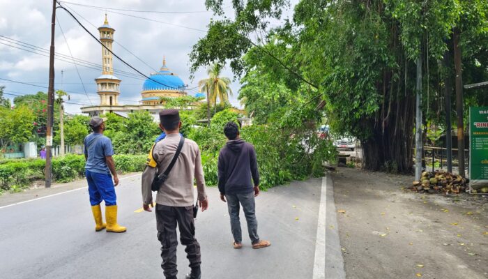 Penertiban dan Pemangkasan Pohon di Jalan Yos Sudarso, Lembar untuk Keselamatan Pengguna Jalan