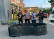 Dua Ekor Ayam dan Gelanggang Disita Tim Opsnal Polsek Rasbar Saat Penggerebekan Judi Sabung Ayam