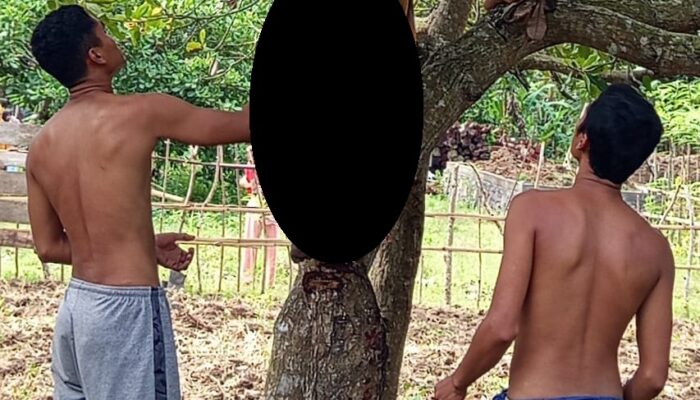 Pria di Sekotong Ditemukan Tewas Gantung Diri di Pohon Jambu Mete