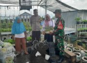 Perkuat Peran Perempuan, Kasi Sosial, Babinsa dan Bhabinkamtibmas Tinjau KWT Cendrawasih