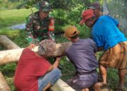 Sinergi Babinsa dan Petani, Irigasi Sepanjang 88 Meter Dibangun