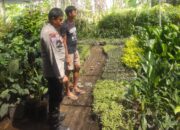 Banyumulek Barat Dorong Kemandirian Pangan Lewat Pekarangan Rumah