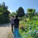 Bhabinkamtibmas Dampingi Petani Jagung di Mareje Timur, Lembar