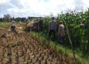 Polisi Dorong Ketahanan Pangan Desa Melalui Lahan Produktif