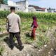 Bhabinkamtibmas Labuapi Dorong Pemanfaatan Lahan Demi Ketahanan Pangan