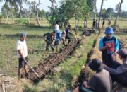 Sinergi Babinsa dan Warga Bangun Akses Tani Baru