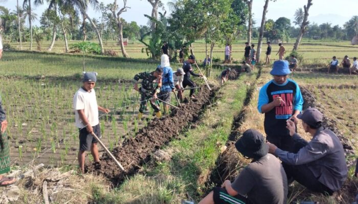 Sinergi Babinsa dan Warga Bangun Akses Tani Baru