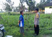 Bhabinkamtibmas Kuripan Dorong Ketahanan Pangan Lewat Pemanfaatan Lahan