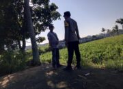 Ketahanan Pangan Desa Kuripan: Sinergi Polri dan Warga