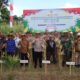 Dukungan Penuh Polri dan Pemda dalam Panen Raya Jagung NTB