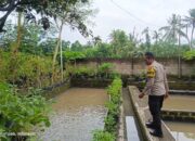 Pemuda Kuripan Utara Dukung Ketahanan Pangan Lokal