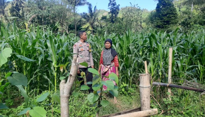 Bhabinkamtibmas Dukung Ketahanan Pangan di Sekotong Timur