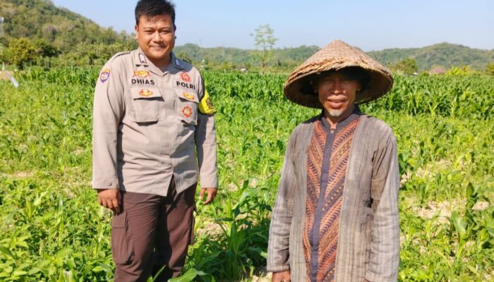 Bhabinkamtibmas Dukung Ketahanan Pangan di Desa Jembatan Gantung
