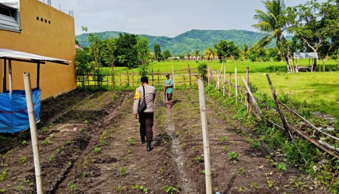 Polsek Kediri Dampingi Petani Desa Dasan Baru Jaga Ketahanan Pangan