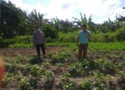 Polri Dorong Ketahanan Pangan Lewat Pendampingan Petani di Lombok Barat